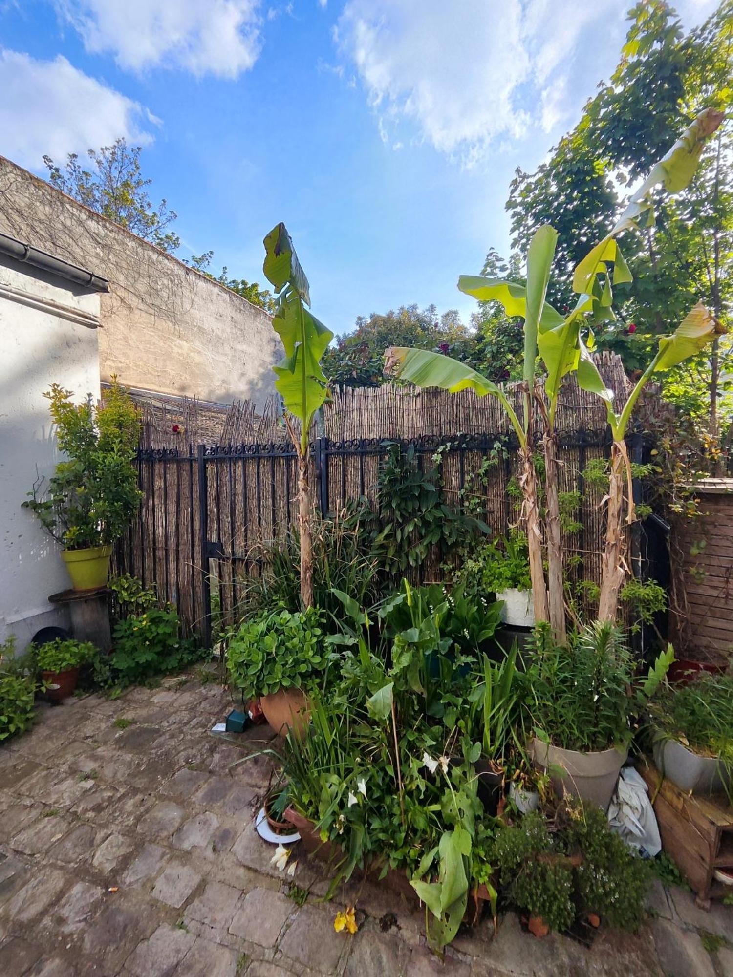 Charming Parisian Studio! イヴリー＝シュル＝セーヌ エクステリア 写真